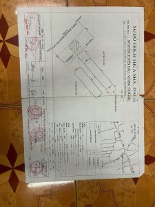 Cmt8 1.1