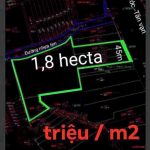 Mp3